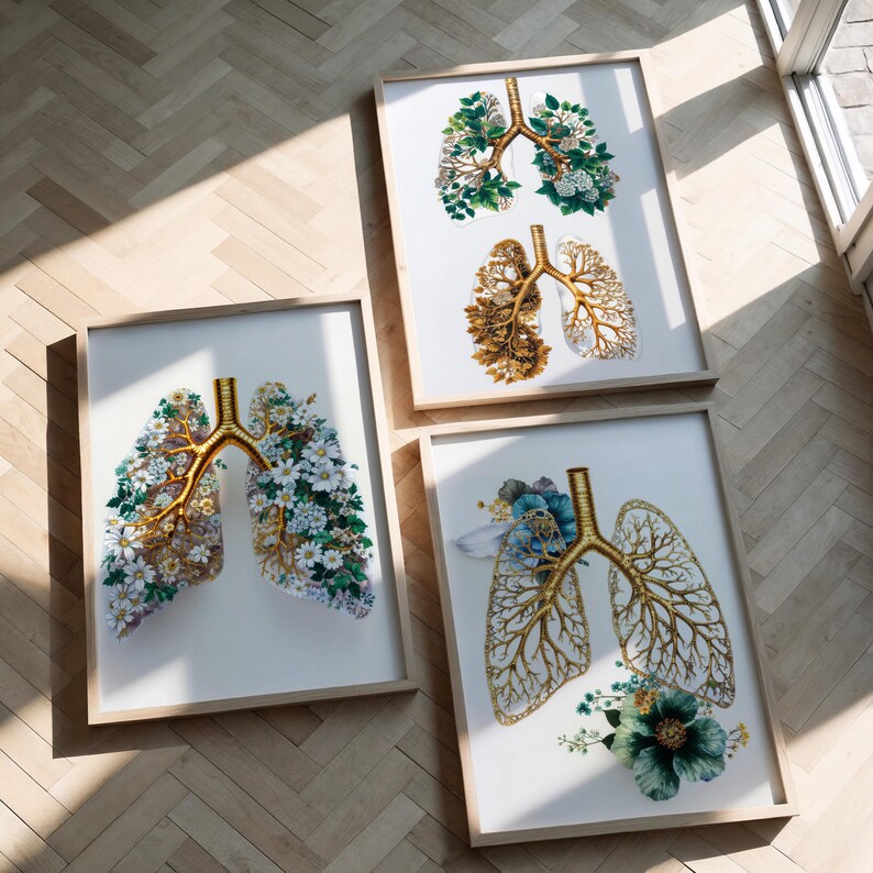 Déco Cabinet de Pneumologie