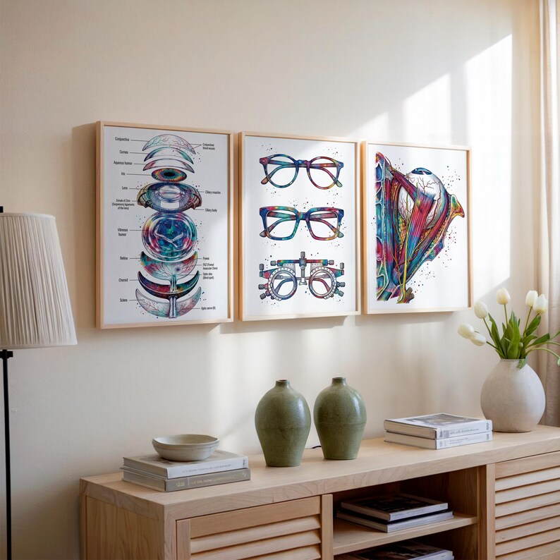 Déco Cabinet d'ophtalmologie